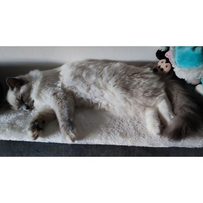 Best sleep ever