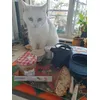 Lilou adore