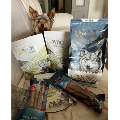 Kiko loves the wolf range