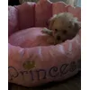 letto princess