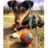 Zira