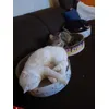 Alle guten Dinge sind 3