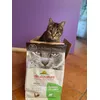 Leone detto Pissichetto Salsiccettta