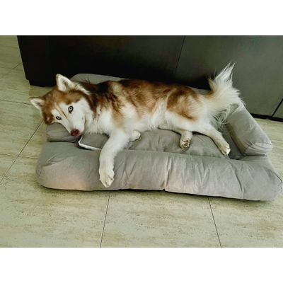 Jenna muy comoda en su cama