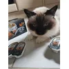 Es schmeckt