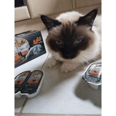 Es schmeckt