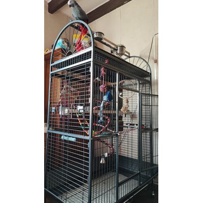 Cage pour perroquet