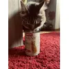 I want to eat already