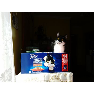 Saba and Felix