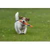 Chuckit Ultra fetch stick