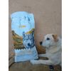 My dog loves it