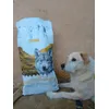 My dog loves it