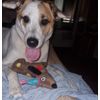 Bailey