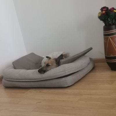 Luca