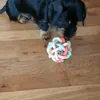 Odin