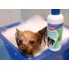 ideal ist dieses Shampoo f.d.feine Haarkleid m.YokierTerrier Daisy