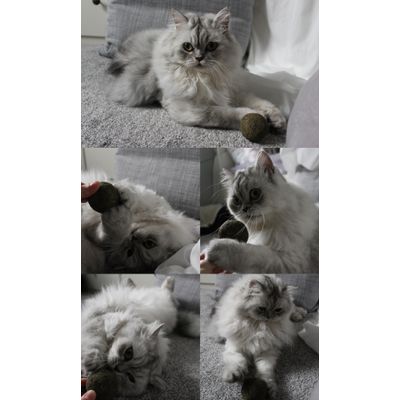 großer Spielspaß für meine Kleine
