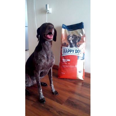 happy dog