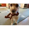 Wurstkette