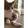 Gianna con su juguete preferido