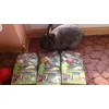 JR Farm Grainless Snack plus w pakiecie