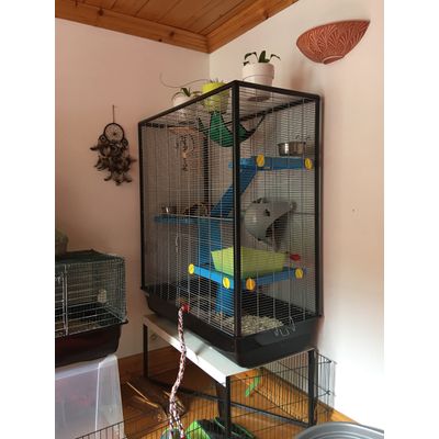 cage de Sid et Bud