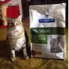 Leo e i suoi metabolic 