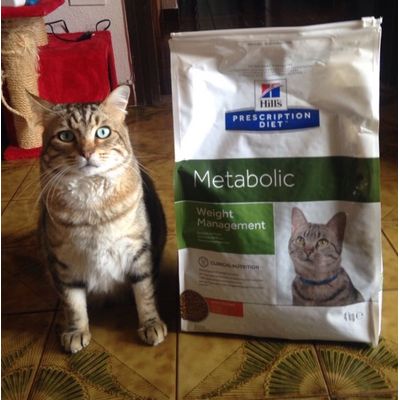 Leo e i suoi metabolic
