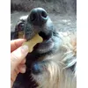 Vegetarisch und Lecker
