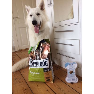 Very nice food for the dog with stomach problems
