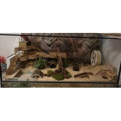 Nagarium