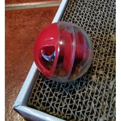 pelota