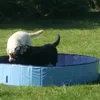 Labki