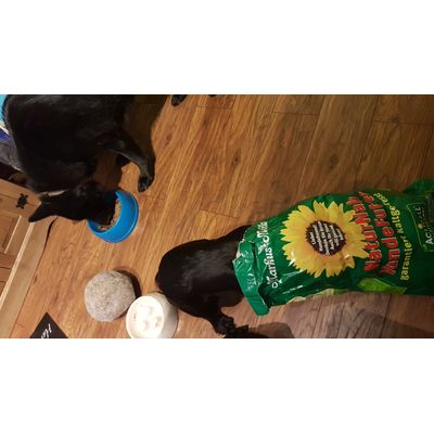 My dogs love it also fussy German shepherd