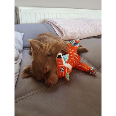 Kuschelzeit