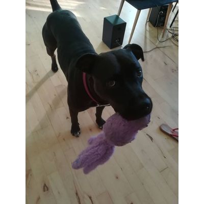 Molly elsker sin Snugga Wubba
