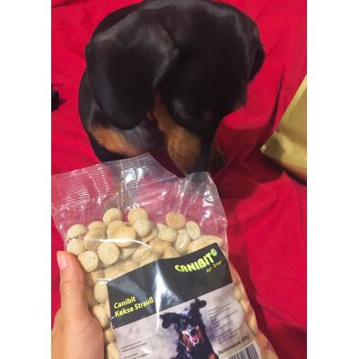Nina e i suoi biscotti