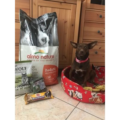cibo secco almo nature
