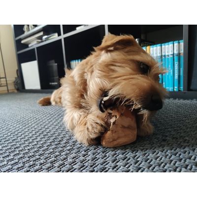 Burton med tuggrot