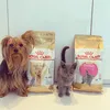 Lola de yorkie 