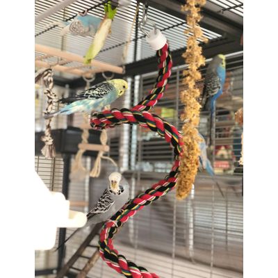 Great bird toy