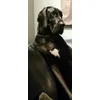 Picture of health thankyou royal canin