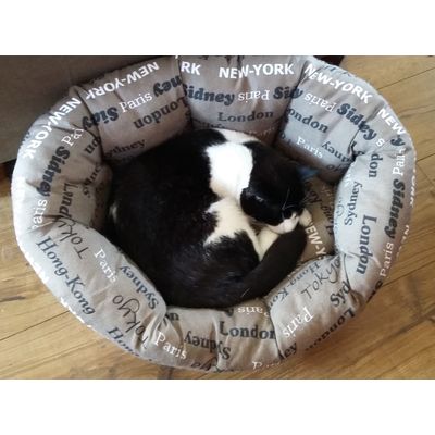 Dog bed