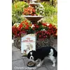 Royal Canin Adult