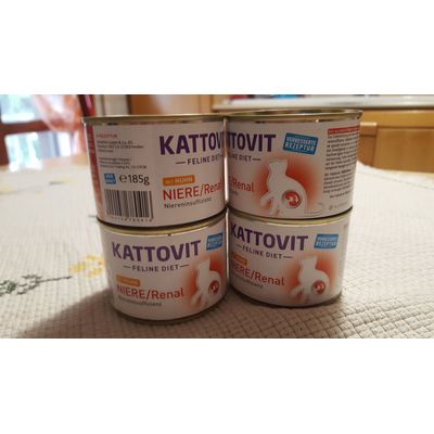 Kattovit