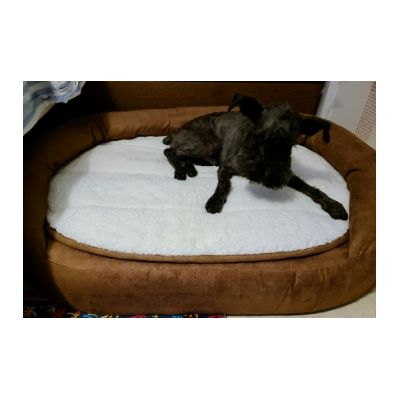 Chiky y su cama