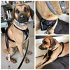 Ridgeback