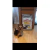 Peggy and her food 
