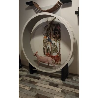 Een groot succes dus super blije katten