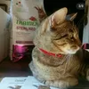 Buonissime le carni bianche di Natural trainer